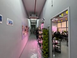 Excalibur Centre (D14), Factory #555313991